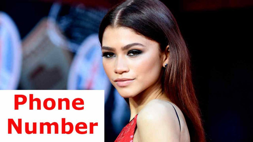 Zendaya Net Worth 2022 - Infozla