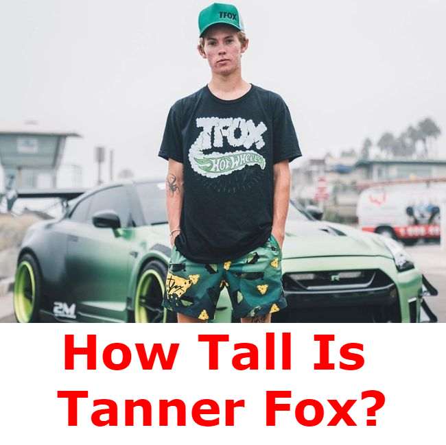 How Tall Is Tanner Fox